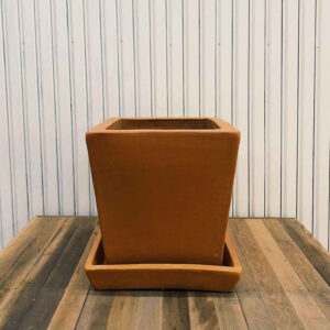 Tucson Terracotta T Series