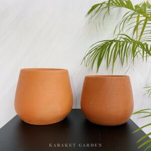 Pomelo Terracotta Pot Series